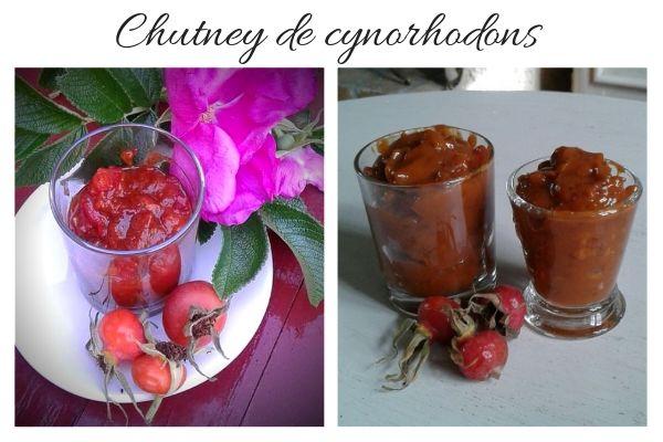 Chutney de Cynorhodon