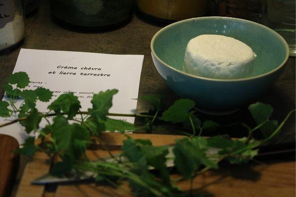 Crème de chèvre au lierre terrestre