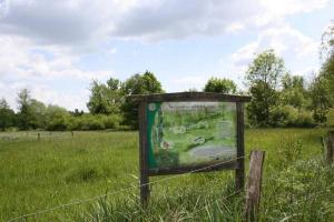 Prairie sous le bochet