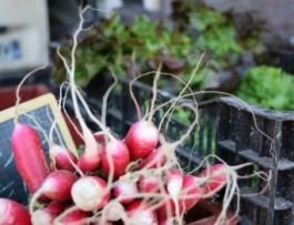 Les marchés en Thiérache